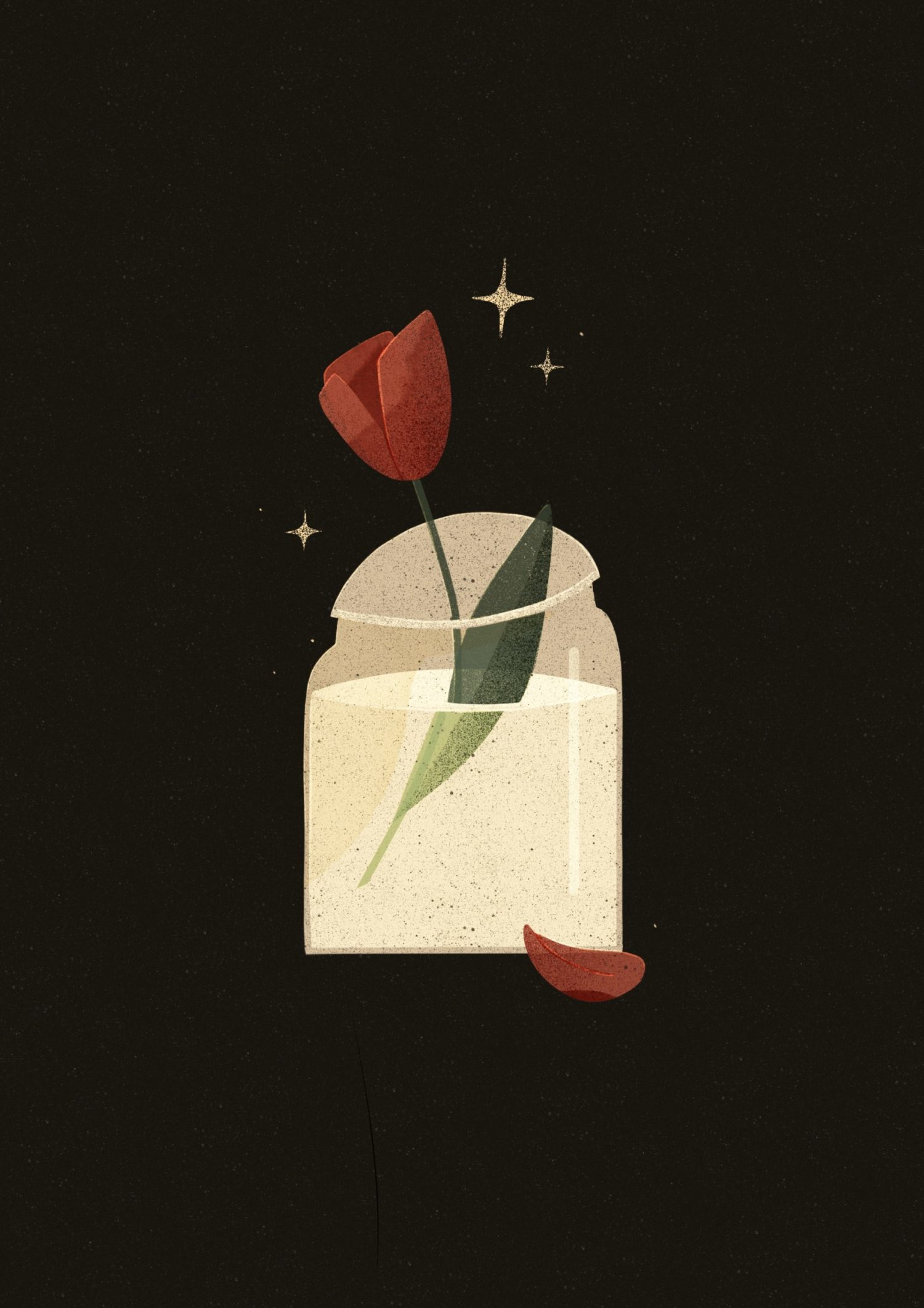51.1._Tulip