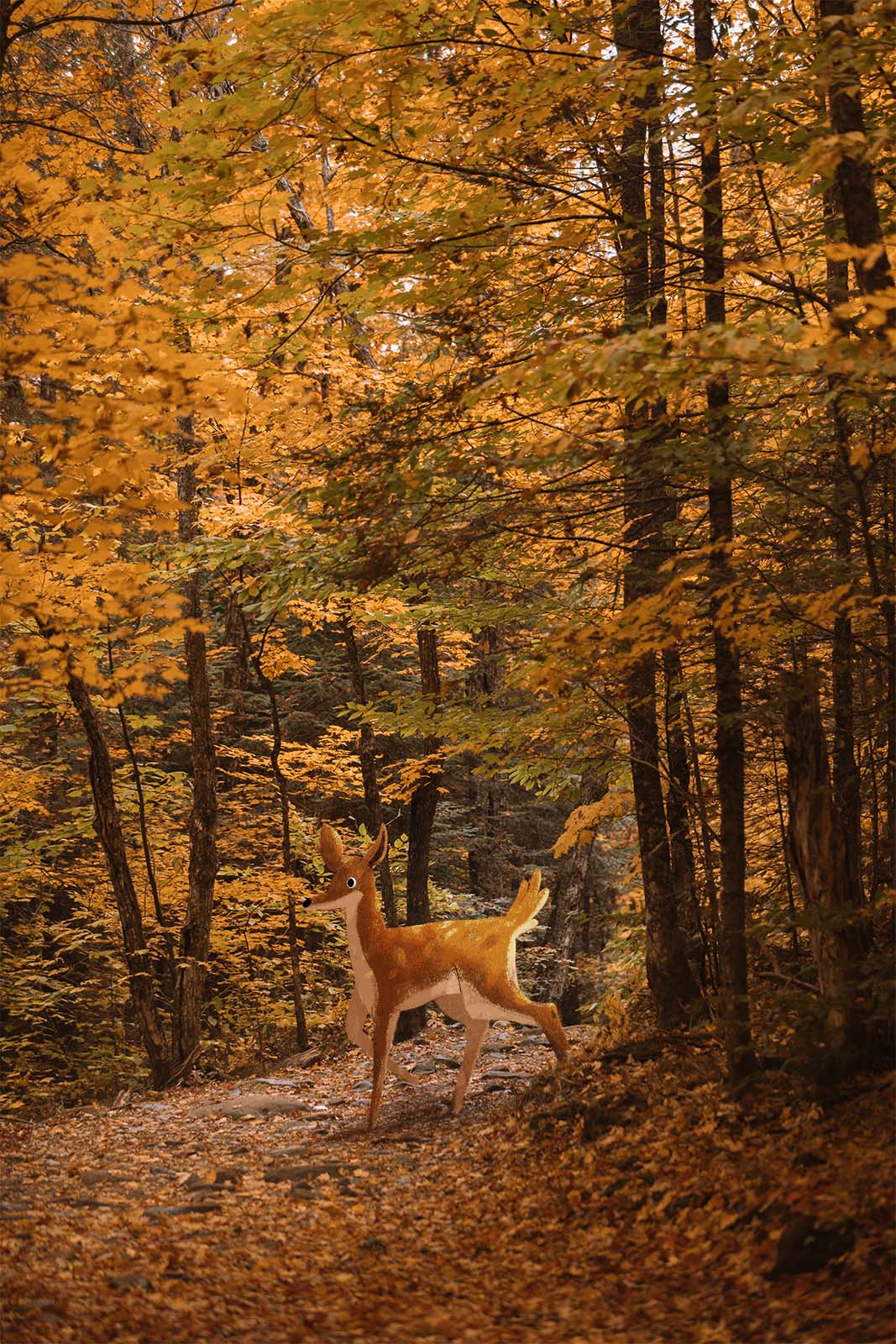 Biche Biche