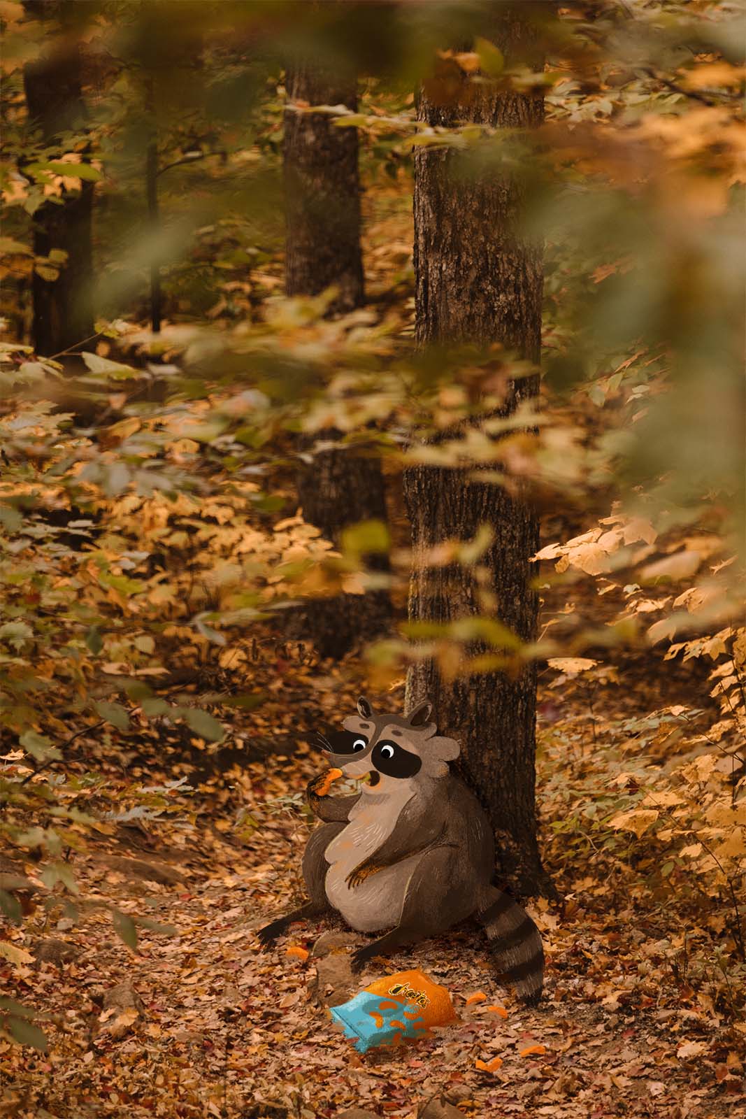 Raccoon Raccoon
