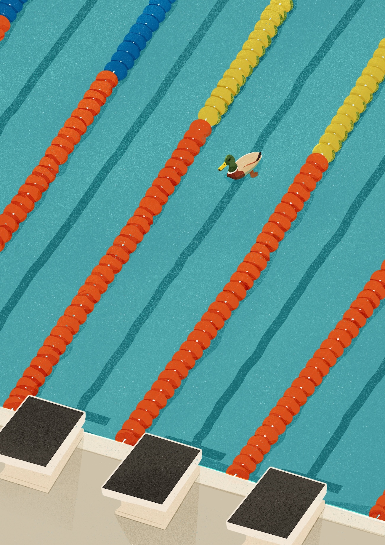Swimming Swimming